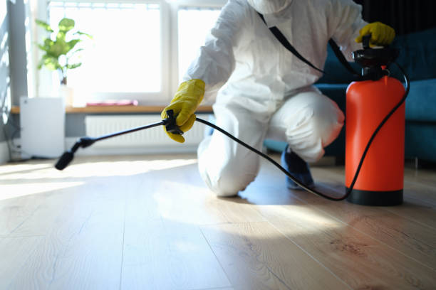 Reliable Odor Removal contractor in Naper, NE by Trauma Clean Pros
